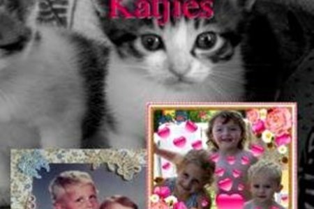 Gansbaai Nie net 1 nie Sommer 4 Carine Badenhorst Boeke